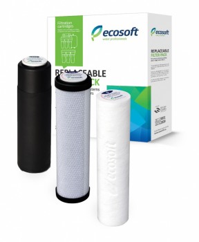 Комплект картриджей Ecosoft PACK–2 (угольный)